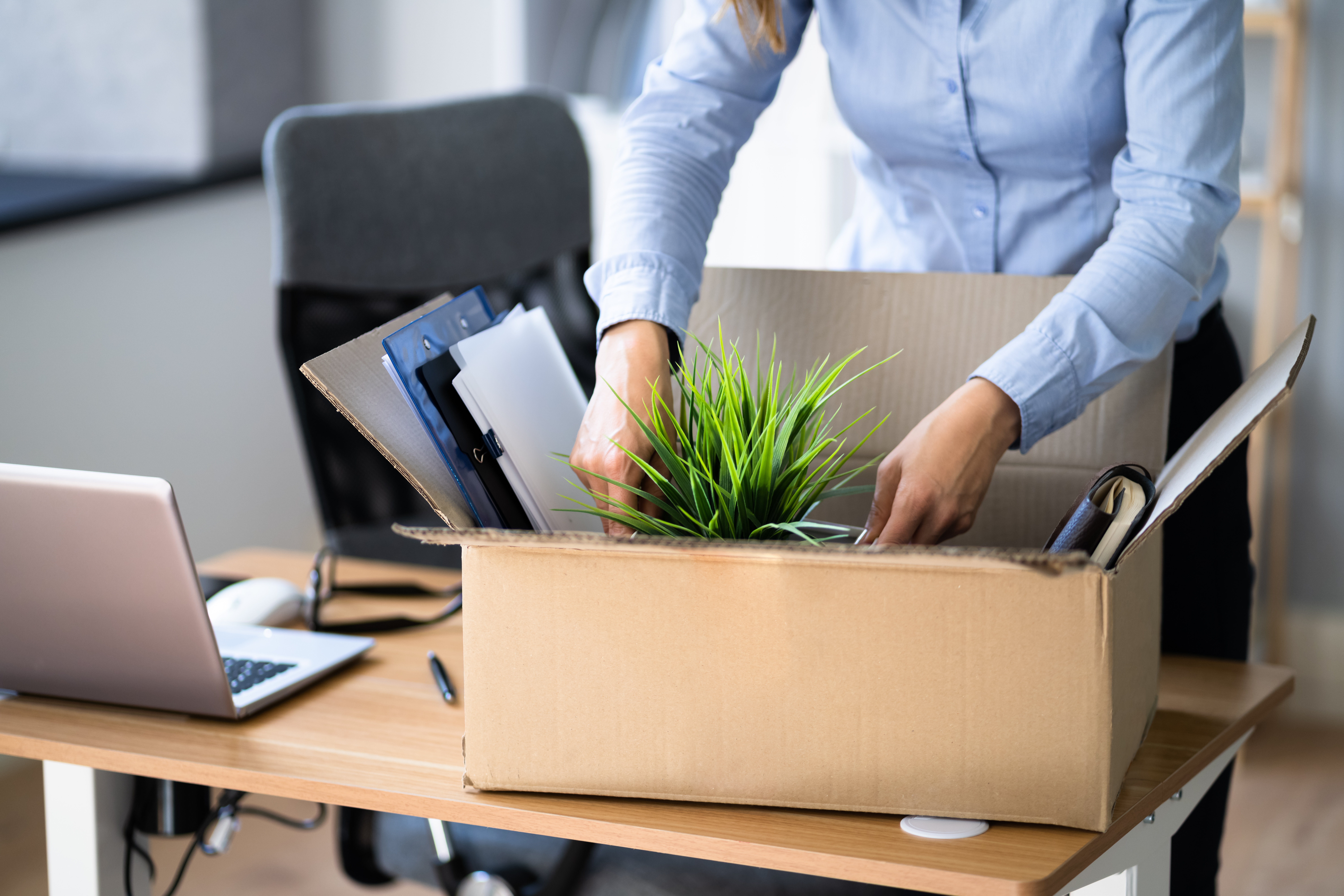 Job Quit. Employee Packing Cardboard Box